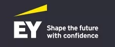 EY internship